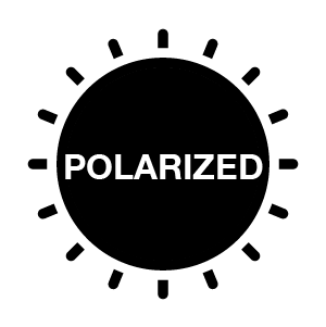 POLARIZED